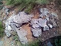 19:22, 2013-yil 22-aprel dagi versiya uchun tasvir