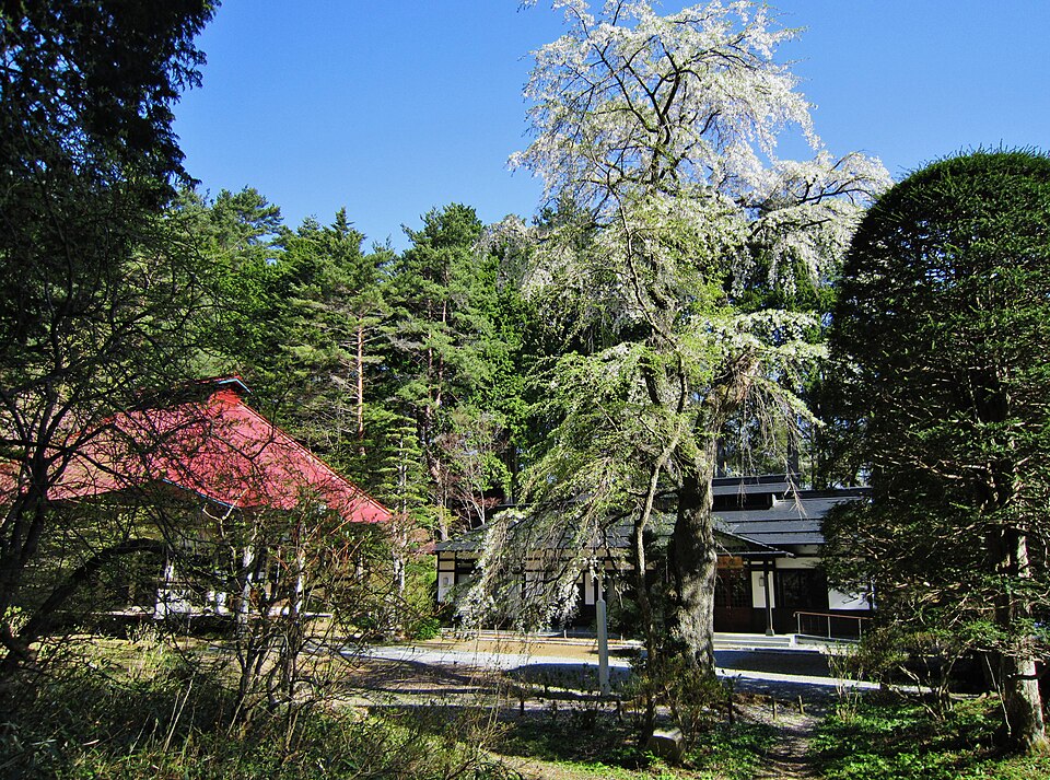 Fayl:Kiyomizu-dera (Nagano) Gyokizakura 1.jpg