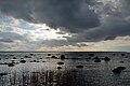 Lahepere ko'rfazi va Pakri yarim oroli