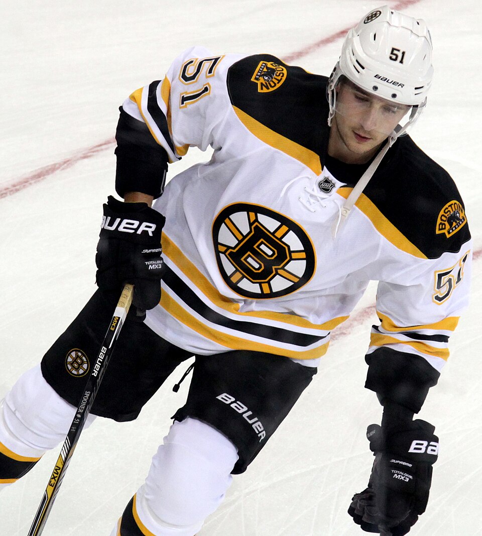 Fayl:Ryan Spooner - Boston Bruins.jpg