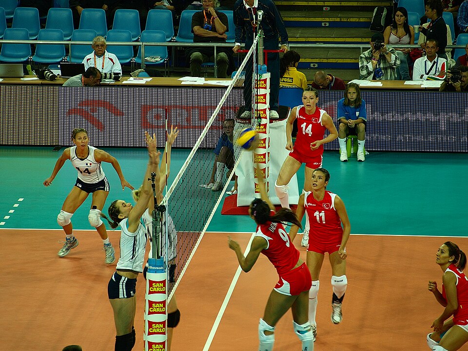 Fayl:TUR-FRA EVC 2009 Poland.JPG
