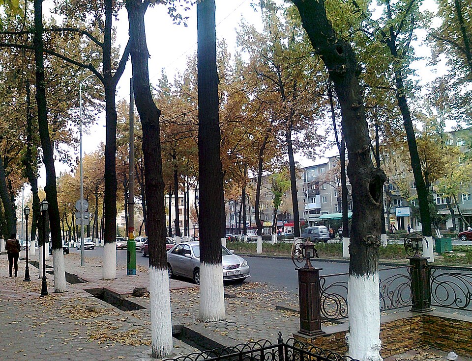 Fayl:Turkistanskaya-street (Shymkent-city).jpg