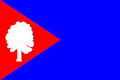 {{{rasmiy_nomi}}}ning bayrogʻi