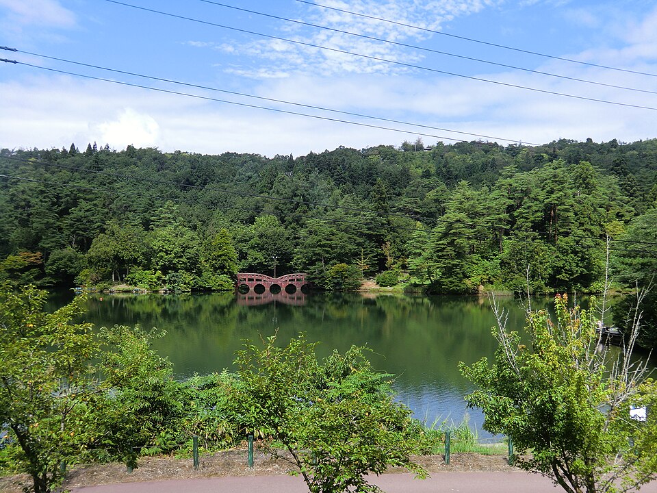 Fayl:真夏の大平森林公園.JPG
