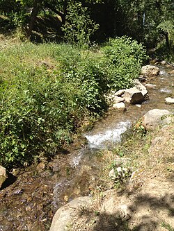 Bulbulzorsoy quyi oqimida