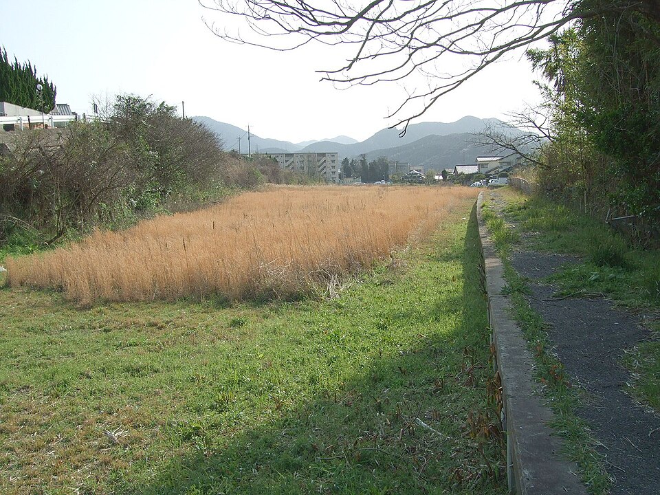 Fayl:Chikuzenmiyada Station ruin01.jpg