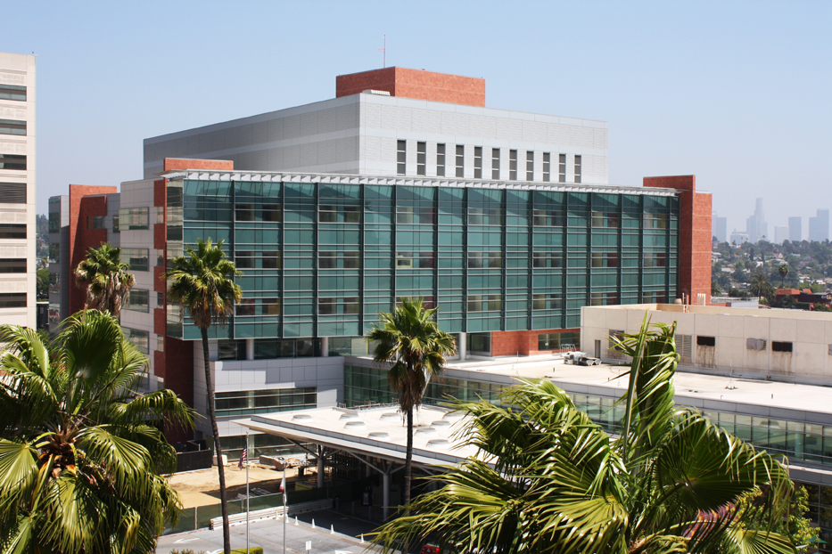Fayl:Childrenshospitallosangeles.jpg