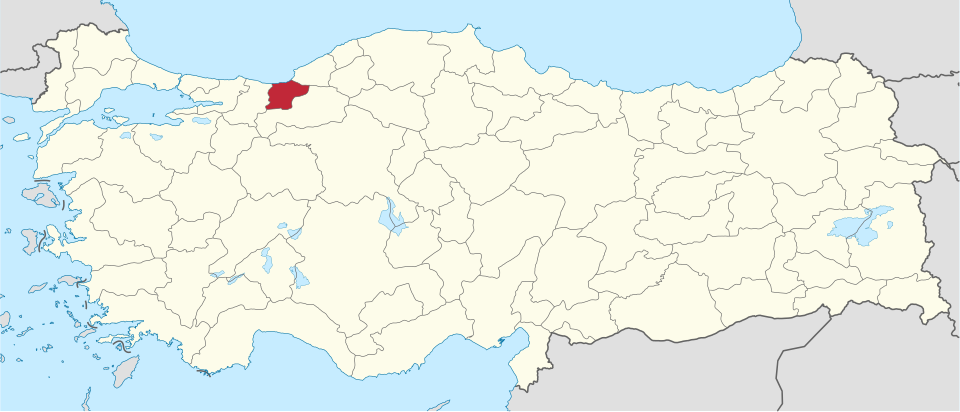 Fayl:Düzce in Turkey.svg