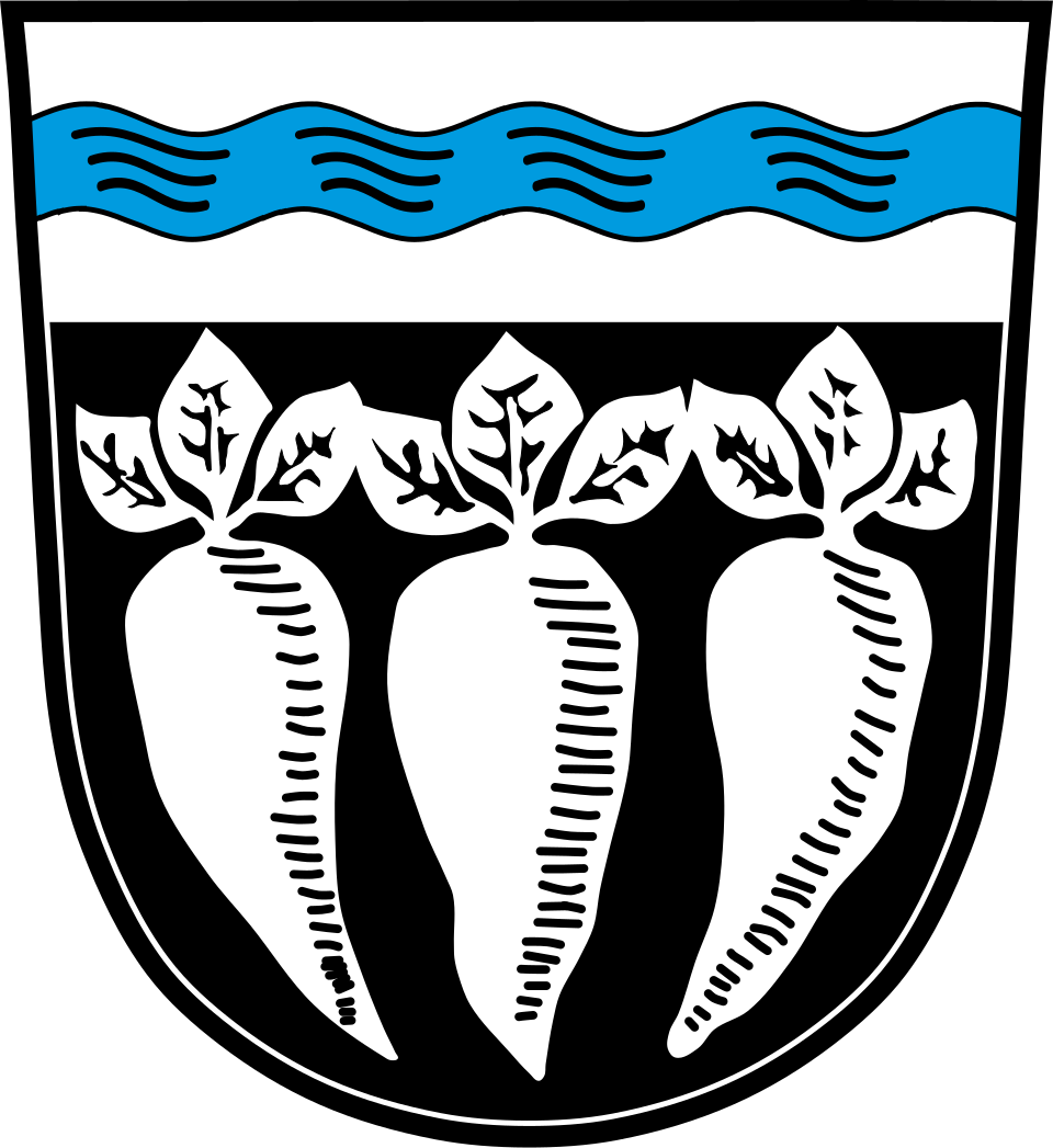 Fayl:DEU Pfatter COA.svg