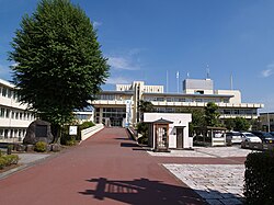 Skyline of Nikkō