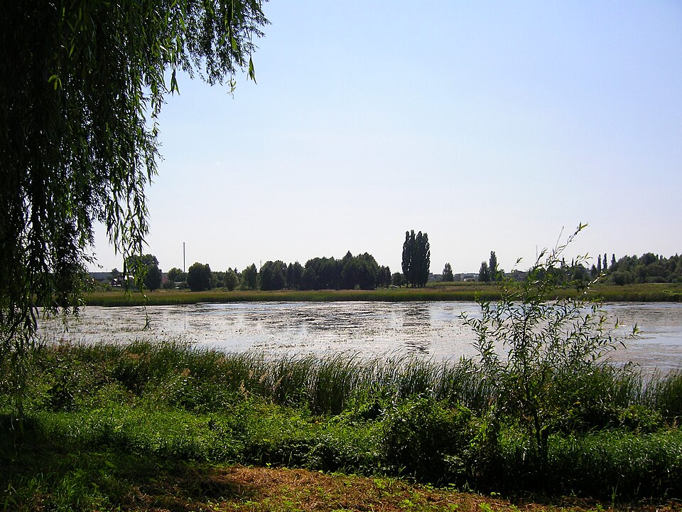 Fayl:Wikiexpedition-makariv-11.jpg