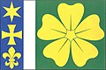 {{{rasmiy_nomi}}}ning bayrogʻi