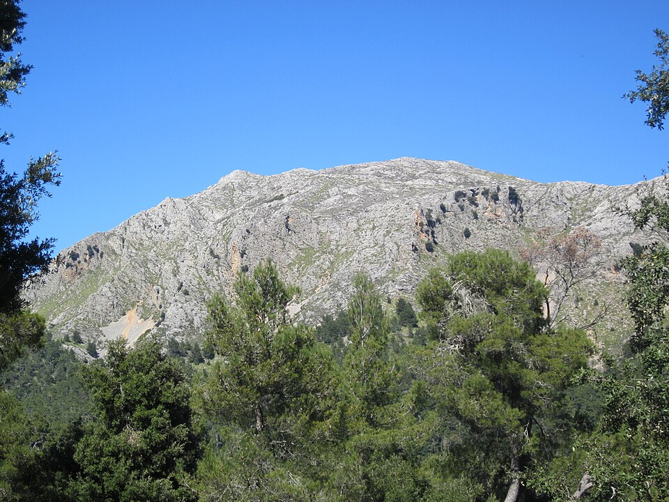 Fayl:Puig Tomir.jpg