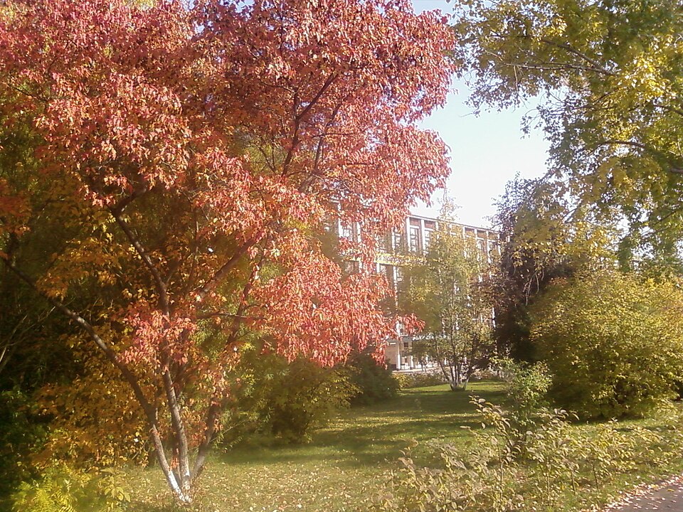 Fayl:Astu barnaul autumn 2008.jpg