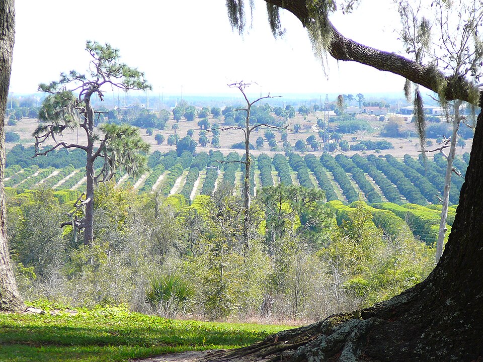Fayl:Bok Tower view.JPG