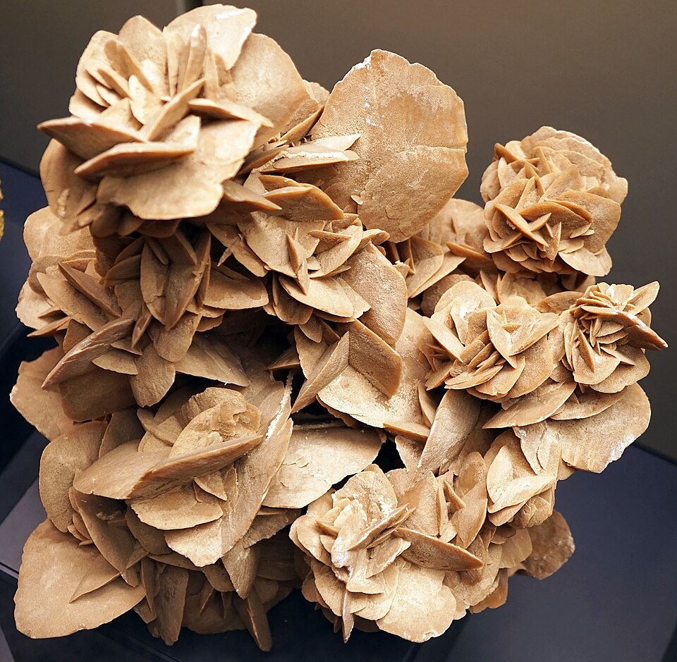 Fayl:Desert rose 3.jpg