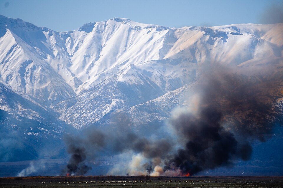 Fayl:Eber Lake Burning Reeds.jpg