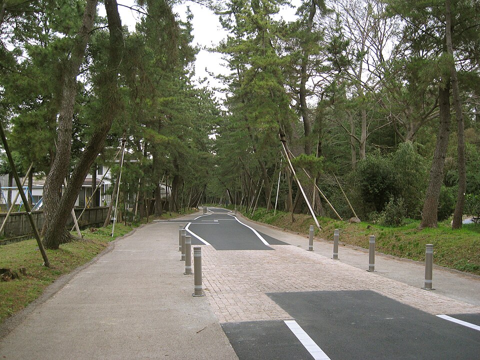Fayl:GoyuMatsunamiki Sidewalk.jpg