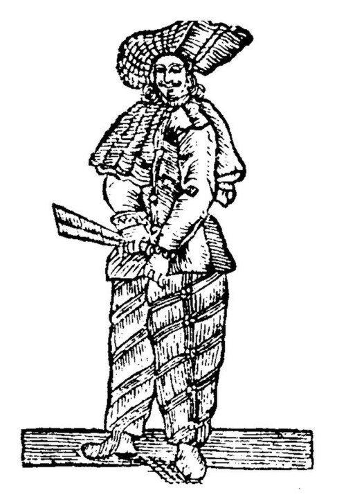 Fayl:Pickelhering.jpg