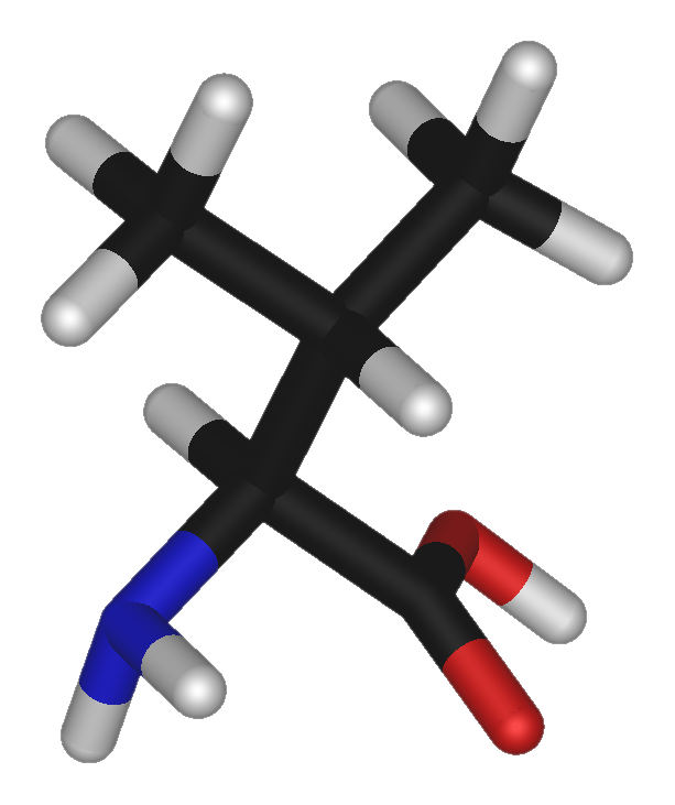 Fayl:L-valine-3D-sticks.png