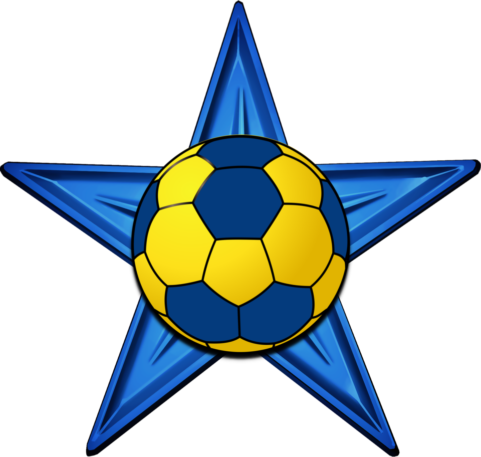 Fayl:Handball Barnstar.png