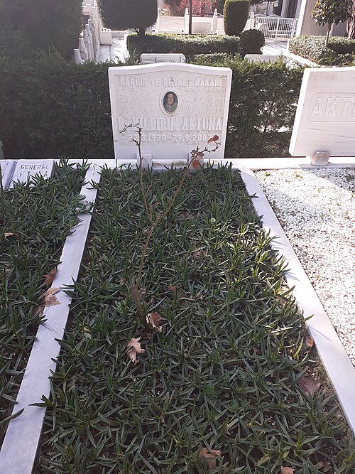 Fayl:Yıldırım Aktuna.jpg