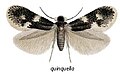 11:27, 2010-yil 21-aprel dagi versiya uchun tasvir