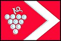 {{{rasmiy_nomi}}}ning bayrogʻi