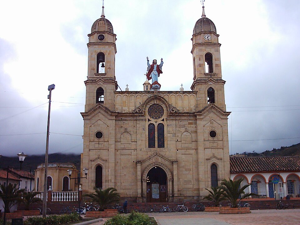Fayl:Aquitania boyaca.jpg
