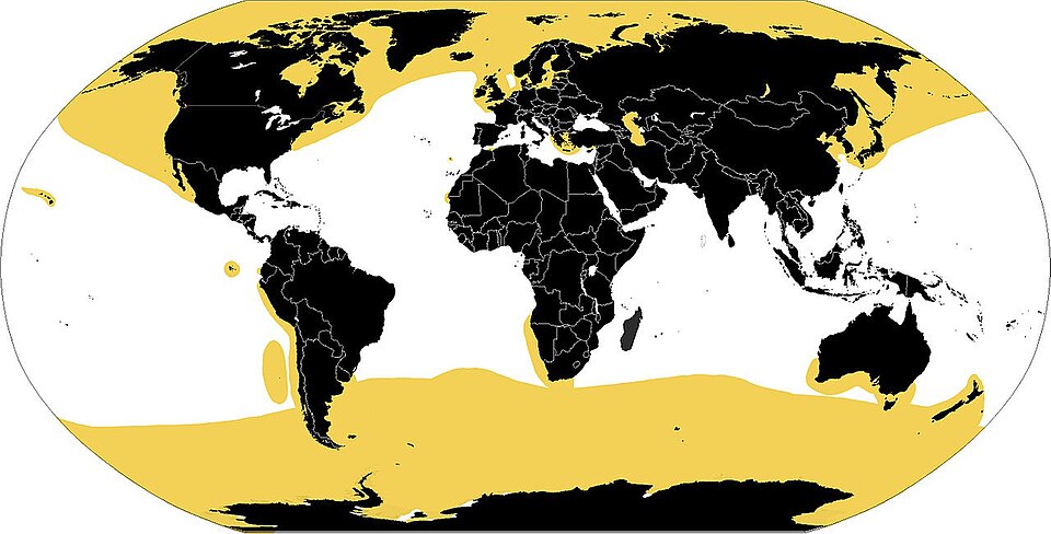 Fayl:Pinniped range.jpg