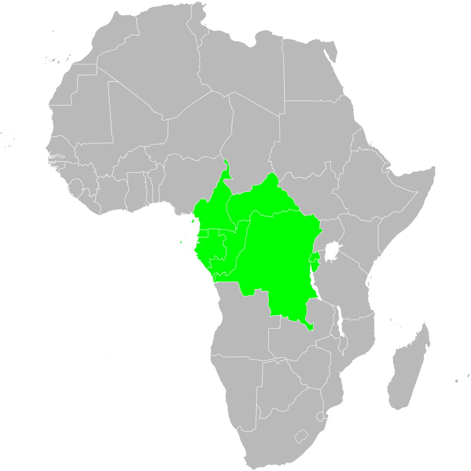 Fayl:WGSRPD West-Central Tropical Africa.svg