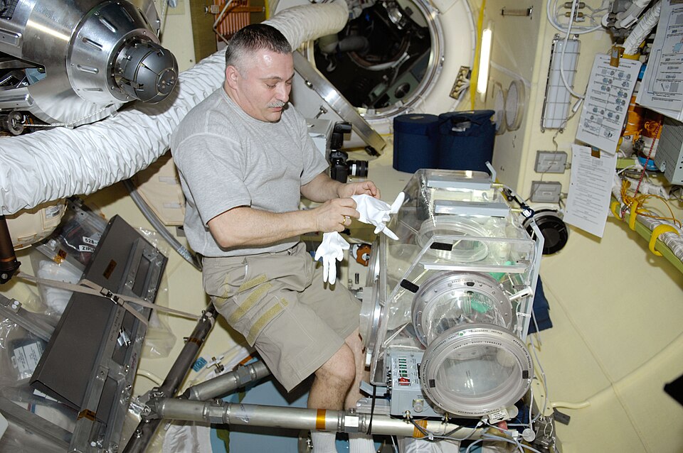 Fayl:Yurchikhin in the MRM2 module.jpg