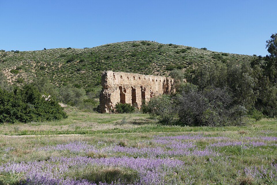 Fayl:Cherichira 2.jpg