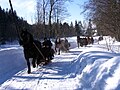 20:24, 2007-yil 29-noyabr dagi versiya uchun tasvir
