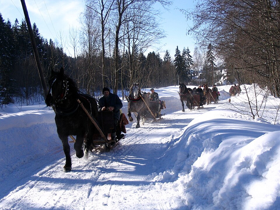 Fayl:Kulig.18.2.2006.jpeg