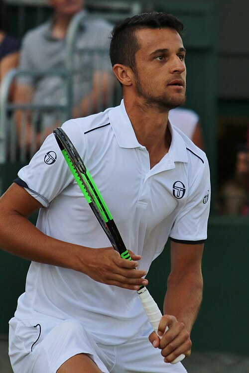 Fayl:Pavic WM17 (32) (36143101366).jpg