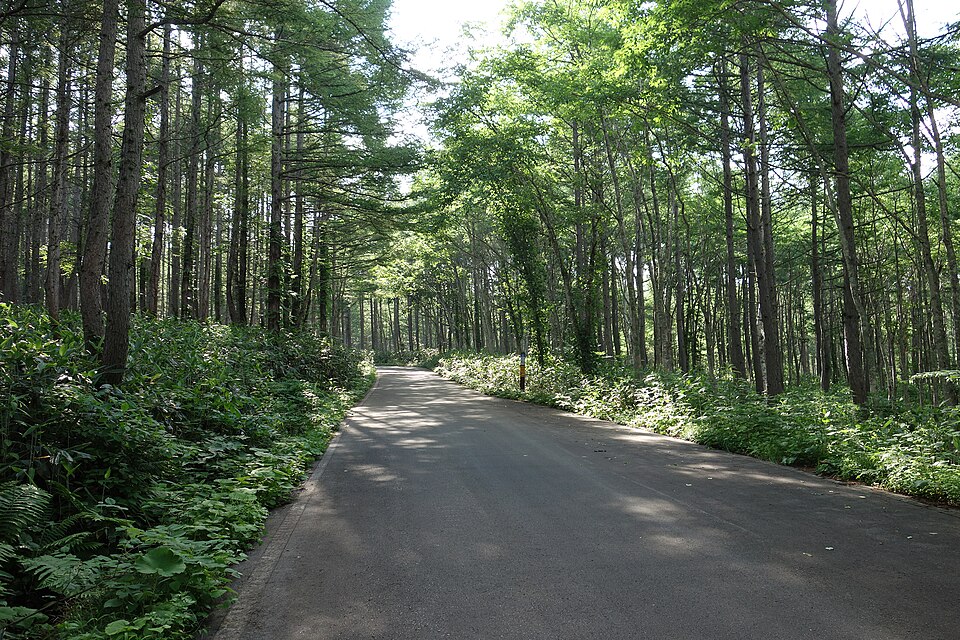 Fayl:奥志賀スーパー林道コバノ沢付近 20130708 - panoramio.jpg