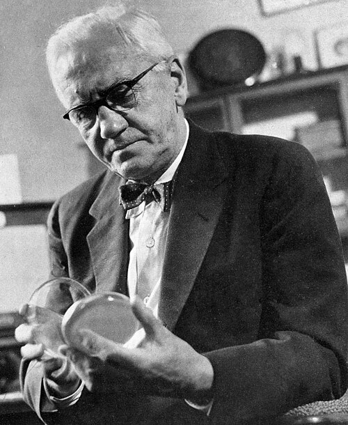 Fayl:Alexander Fleming2.jpg