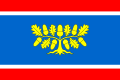 {{{rasmiy_nomi}}}ning bayrogʻi