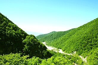 Forested river valley