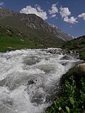 Qashqadaryo viloyati Shahrisabz tumani Hisor tog'laridan boshlanuvchi daryoning irmoqlari