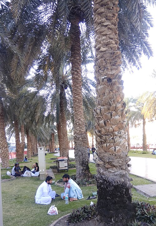 Fayl:Al Muteena.jpg