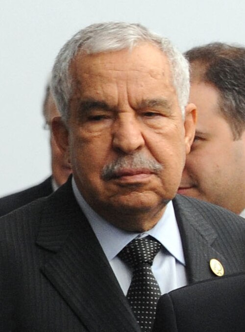 Fayl:Ali Treki.JPG