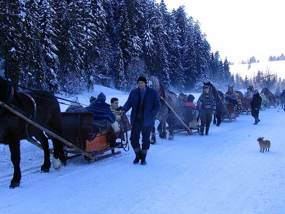 Fayl:Kulig.18.2.2006.JPG