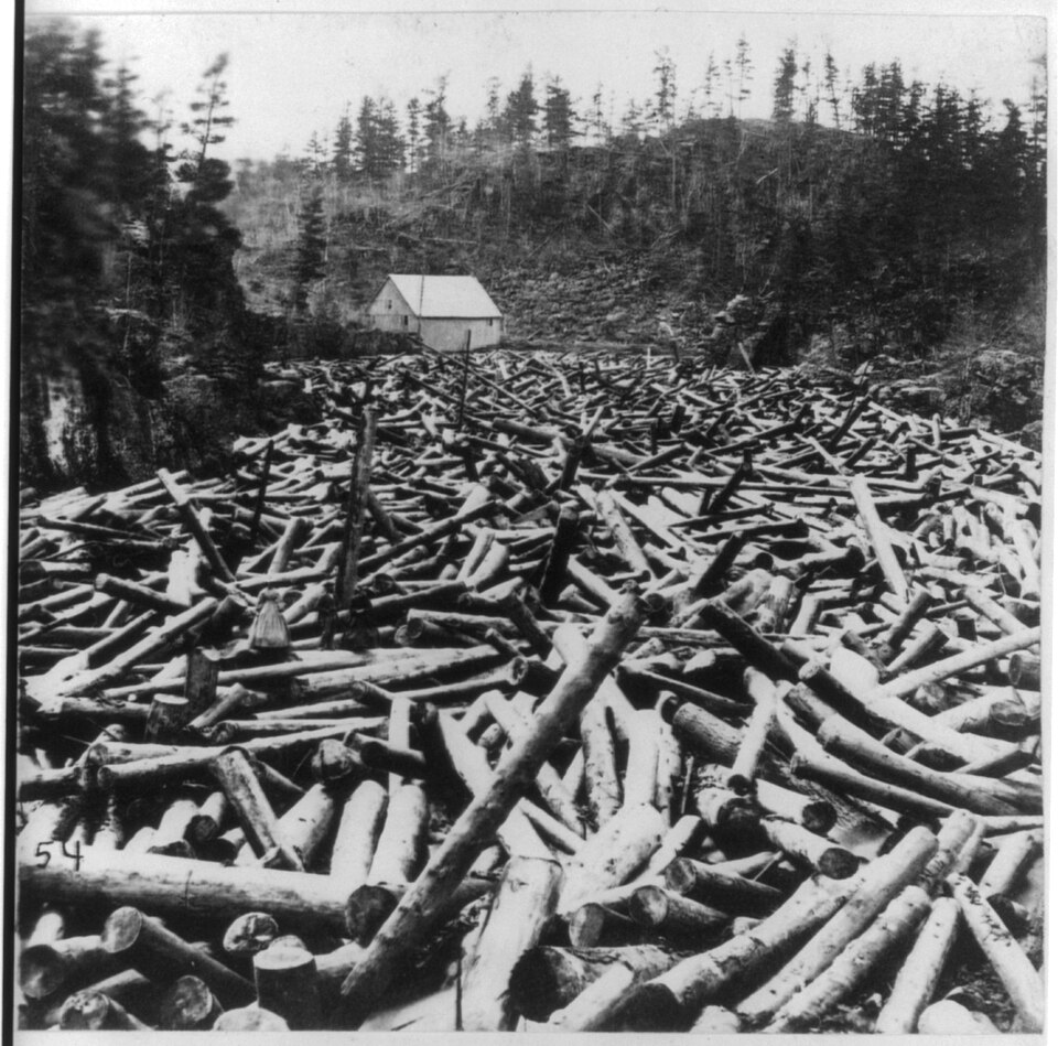 Fayl:Pineries-Minnesota-1800s.jpg