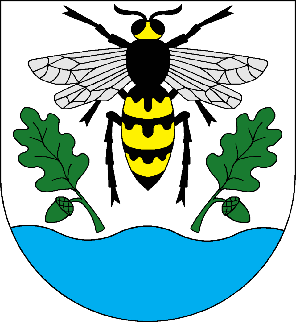 Fayl:Srch CoA.png