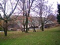 Sport zali
