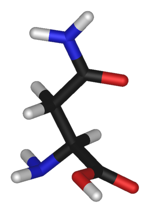 Fayl:L-asparagine-3D-sticks.png