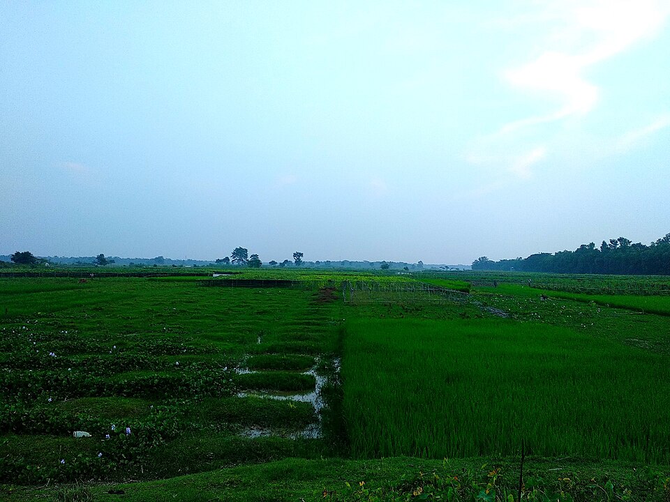 Fayl:গায়েবী দিঘী 1.jpg