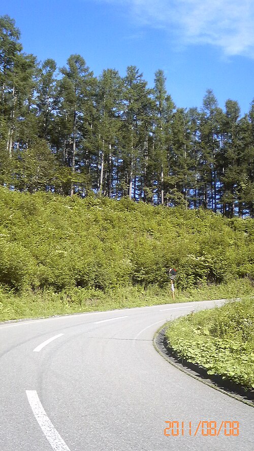 Fayl:駒出池キャンプ場の散策コース - panoramio (2).jpg